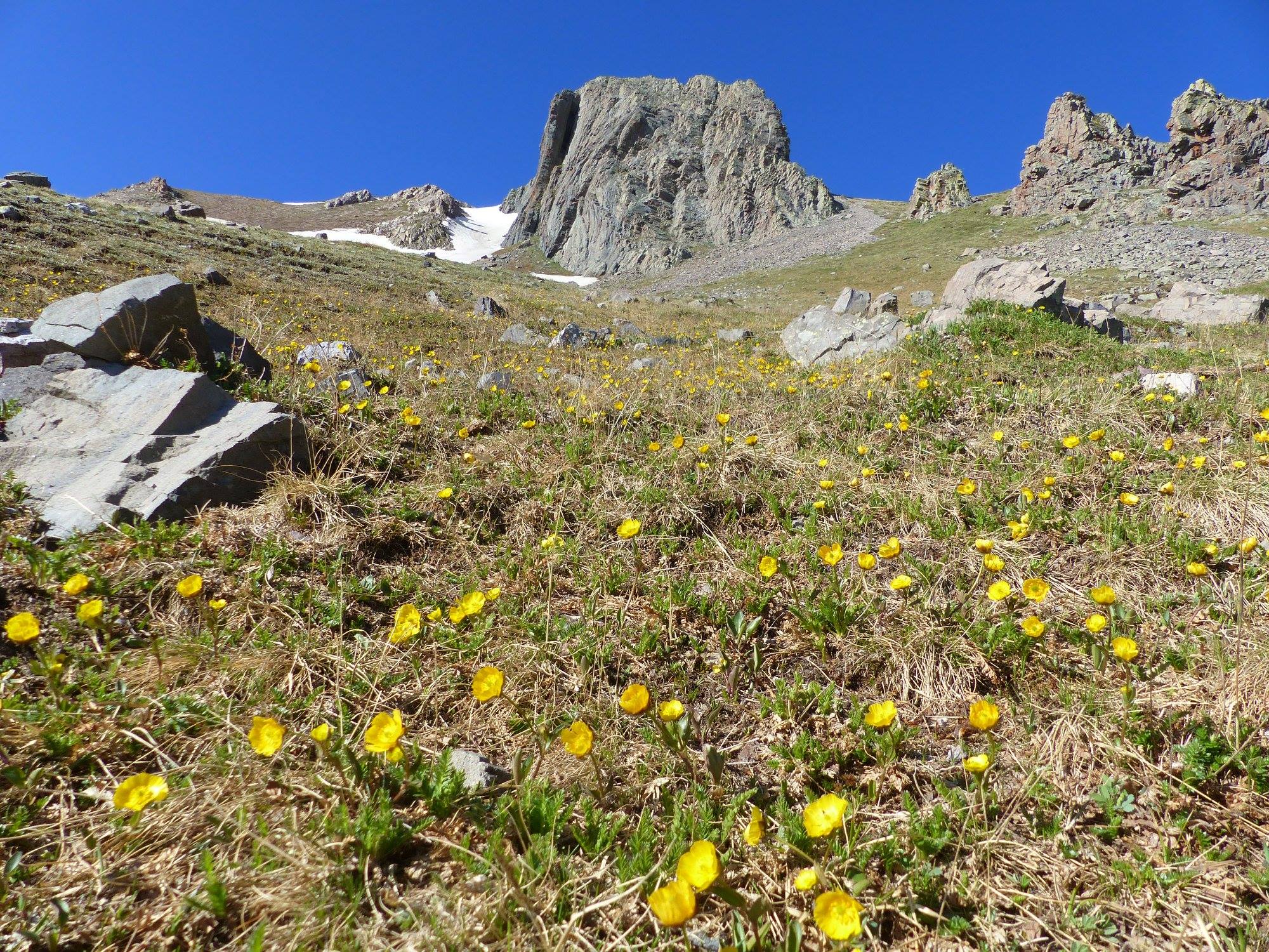 Turkey Creek Trail 580 Pagosa Springs Area Hiking Trails