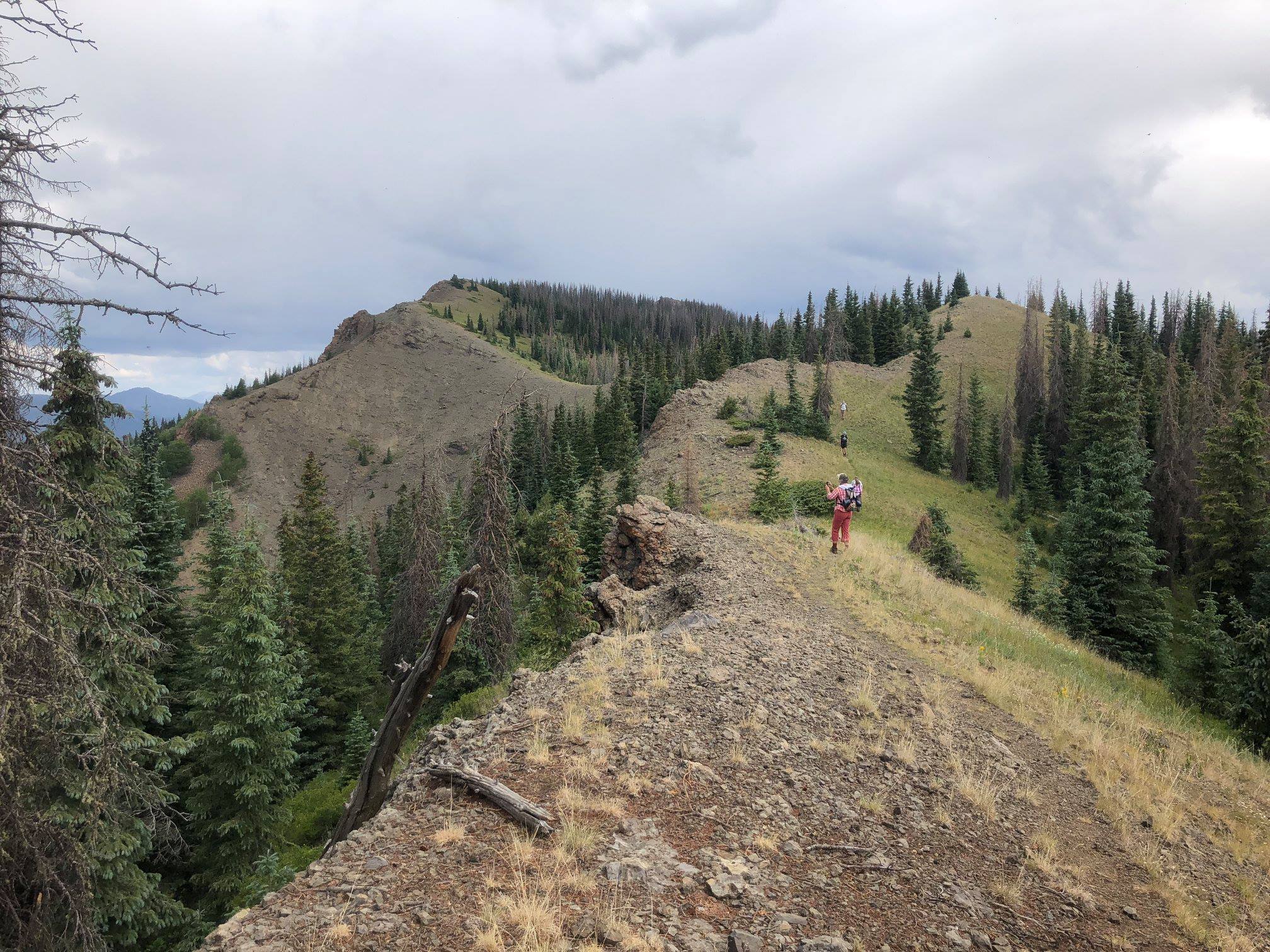 Fish Creek Trail No. 575 Flattop Mtn Pagosa Springs Area Trails